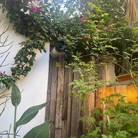 Eleonora'S Hidden Gem Leilighet Athen Eksteriør bilde